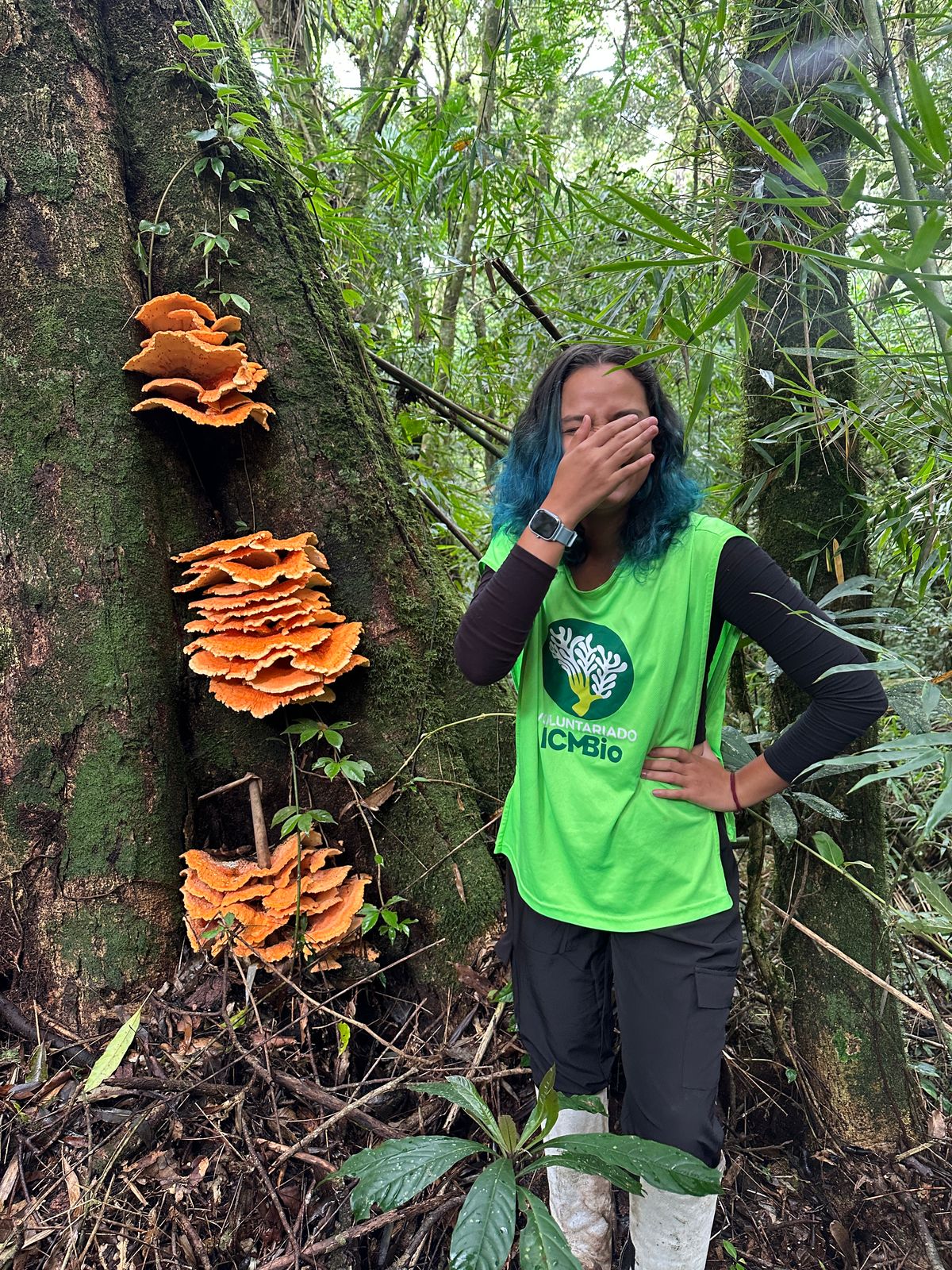 Milla na natureza