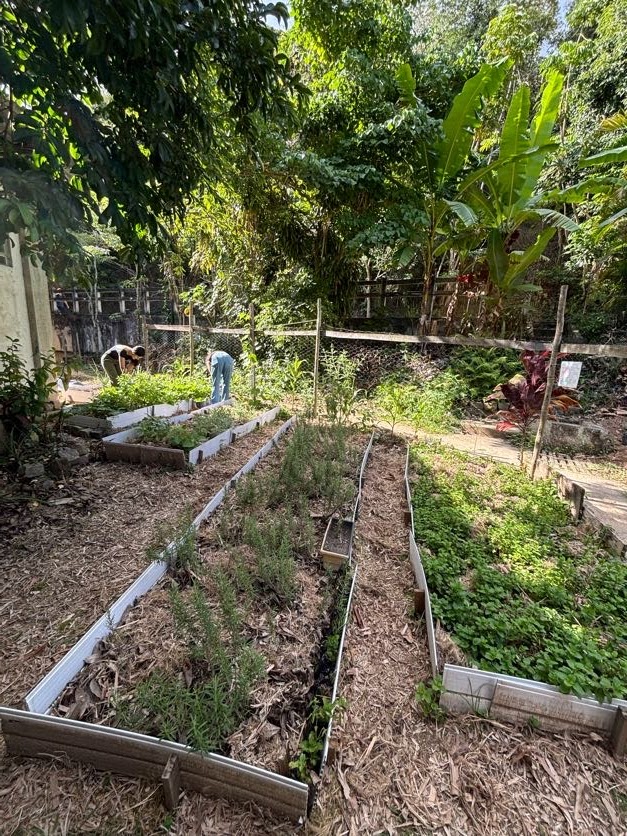 Atividades práticas de horticultura urbana no LUMAS